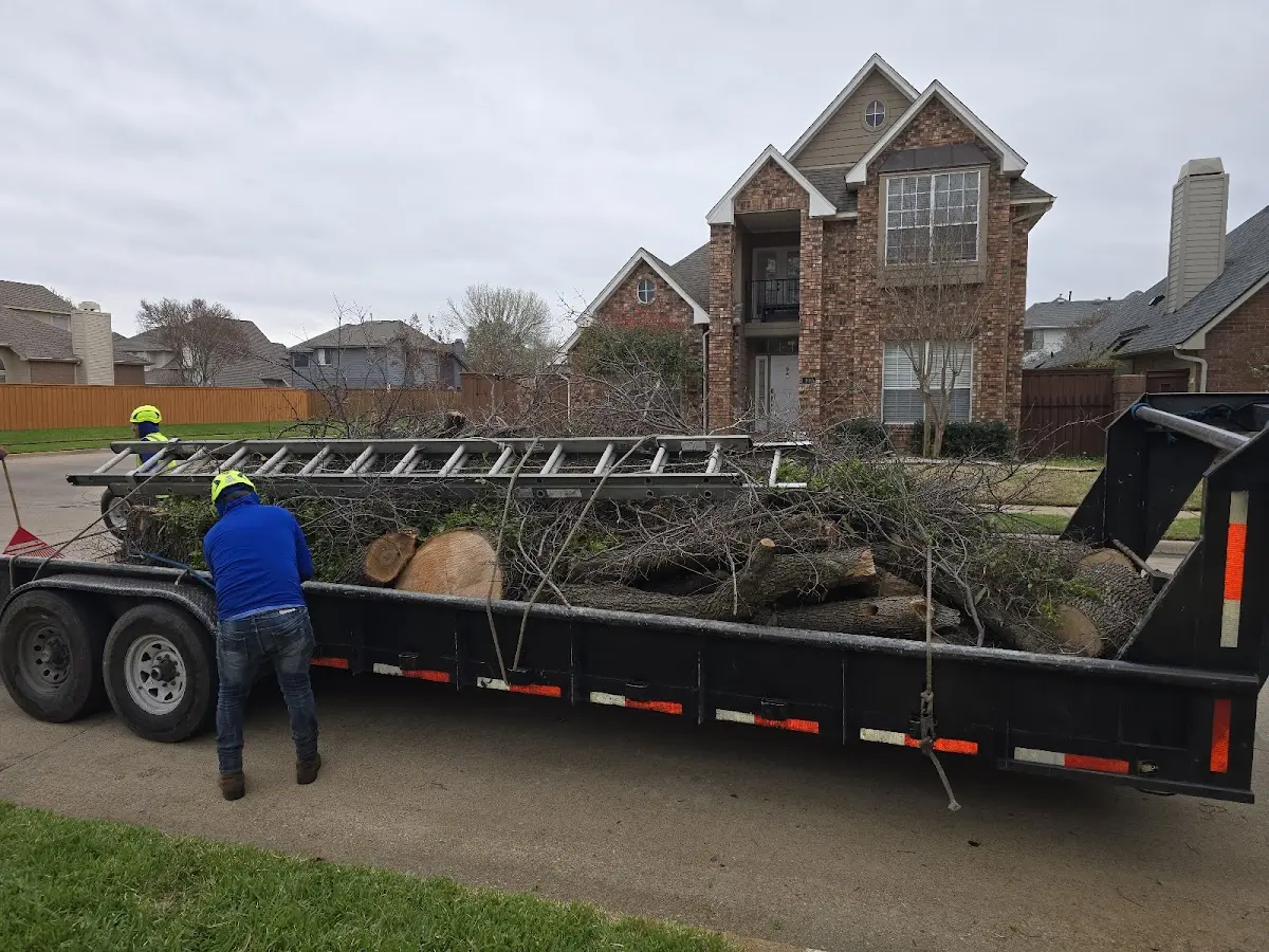 Expert Tree Fertilization with proper safety equipment in Truesdale